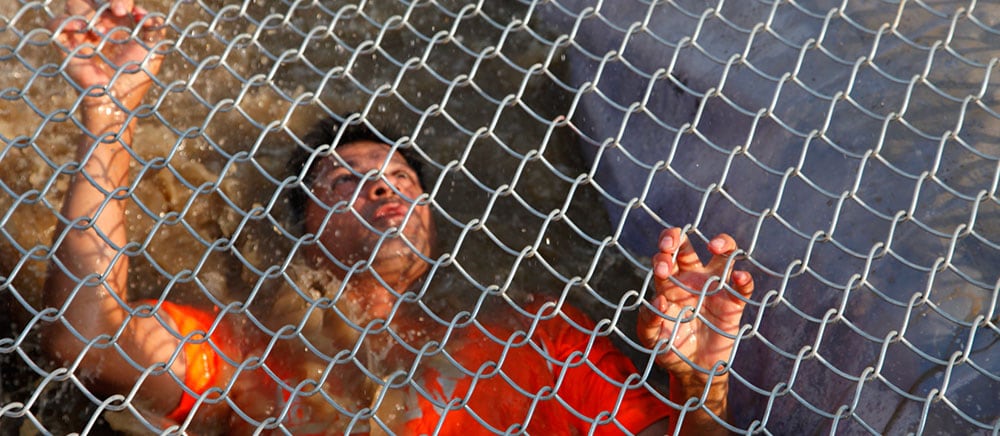 A runner crawling under wire mesh through water on the Holi Water obstacle