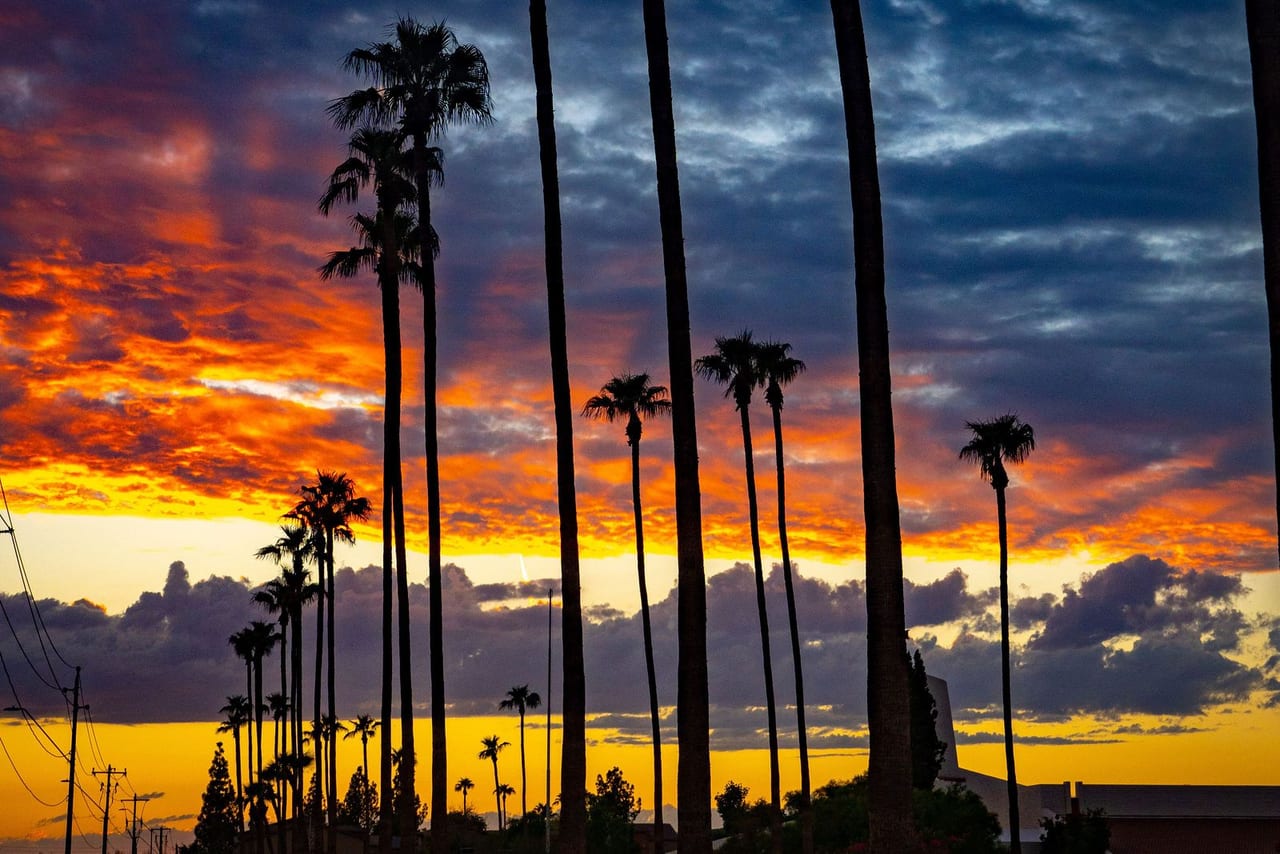 Silhouetted palm trees against a fiery orange and blue sunset