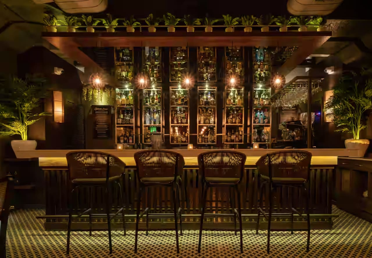 The Uptown Escape bar: cane-backed stools at a counter in front of backlit bottle shelving, with plants along the top.