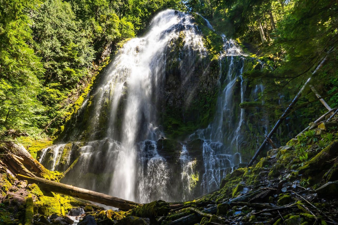 A waterfall spilling down a mossy cliff into green forest